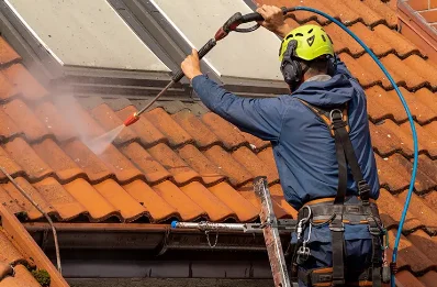 Démoussage et hydrofuge de toiture à Génis
